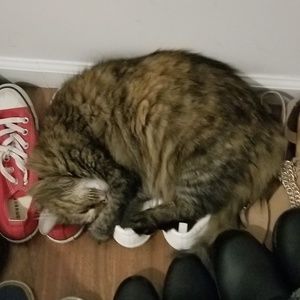 Meet your Posher, Hollie